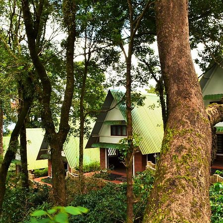 Kakkabe Misty Woods Resort מראה חיצוני תמונה